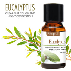 100% 'Pure & Natural'  Essential Oils (6 Bottle Gift Kit)